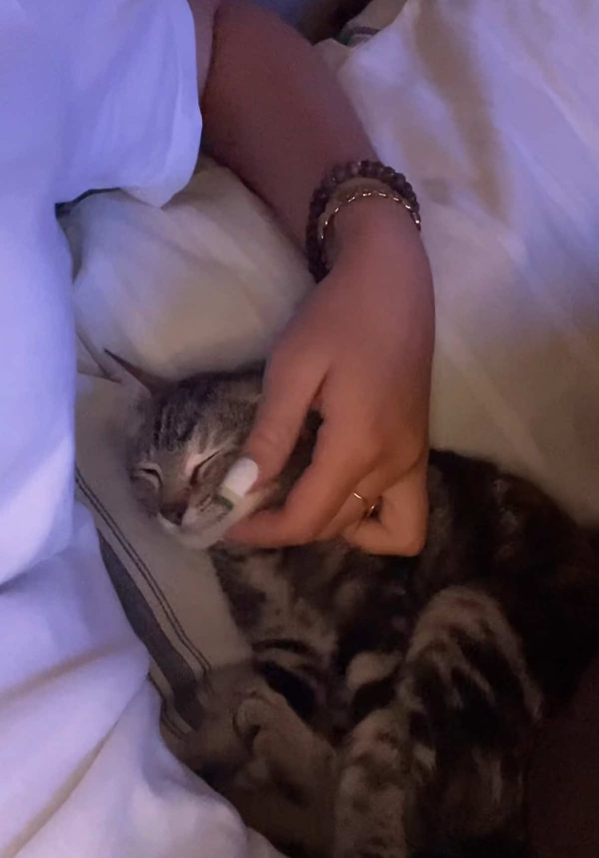 @𝒁𝒐𝒆 𝑴𝒂𝒍𝒂𝒏