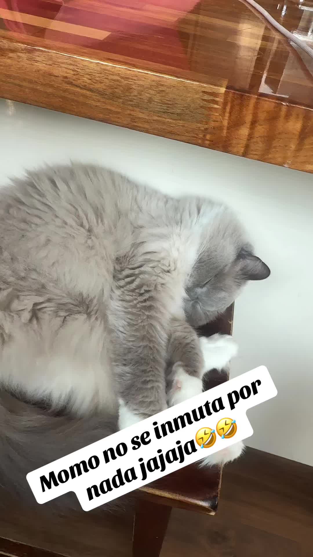 @Matea