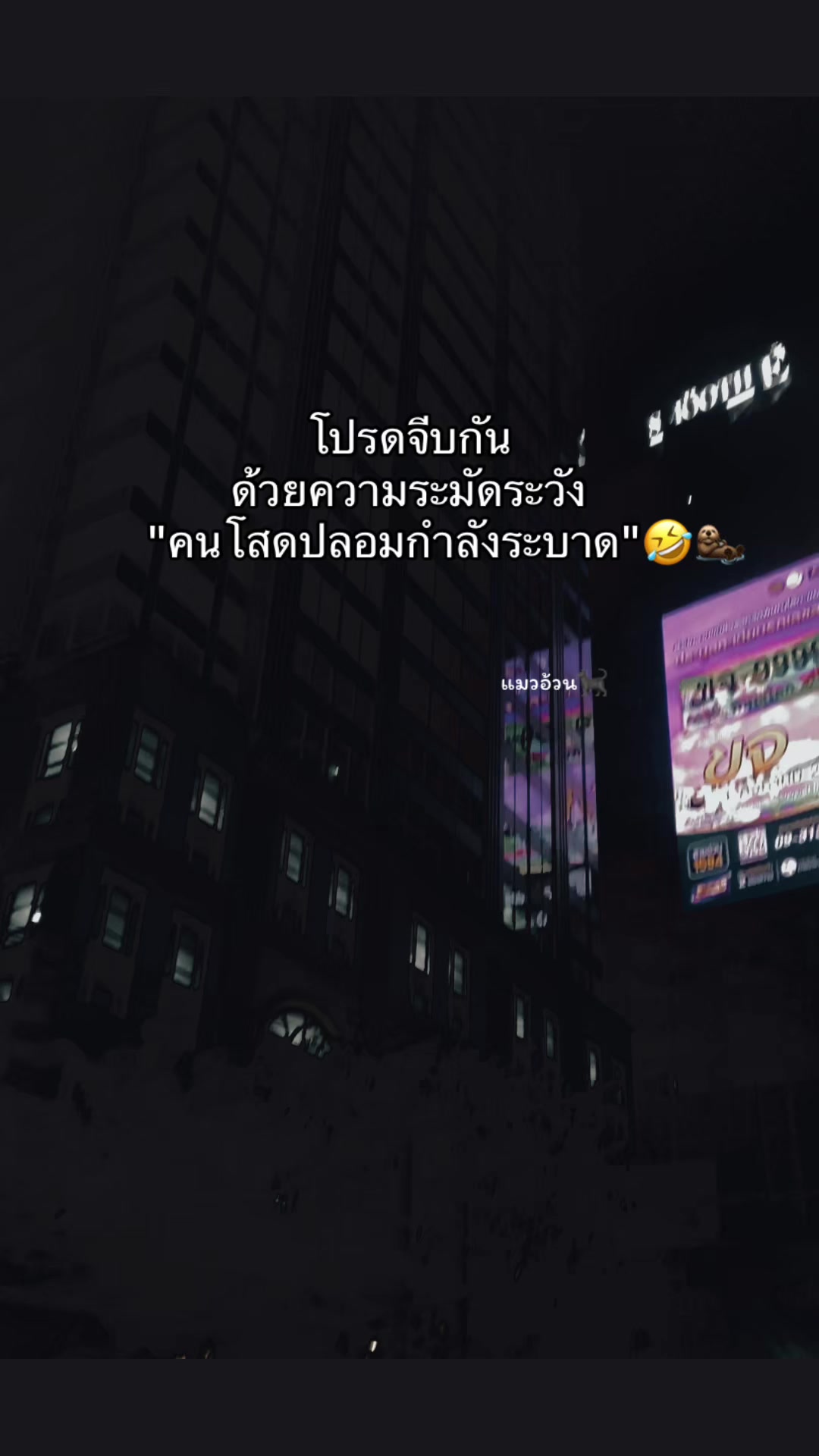 @แมวอ้วน🐈⬛