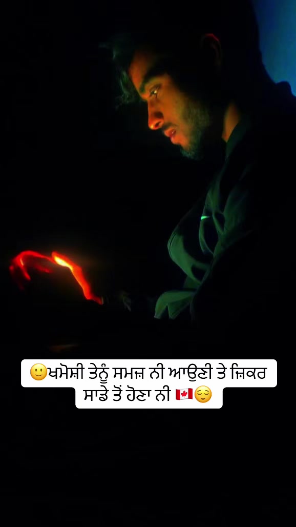 @vehlijanta761