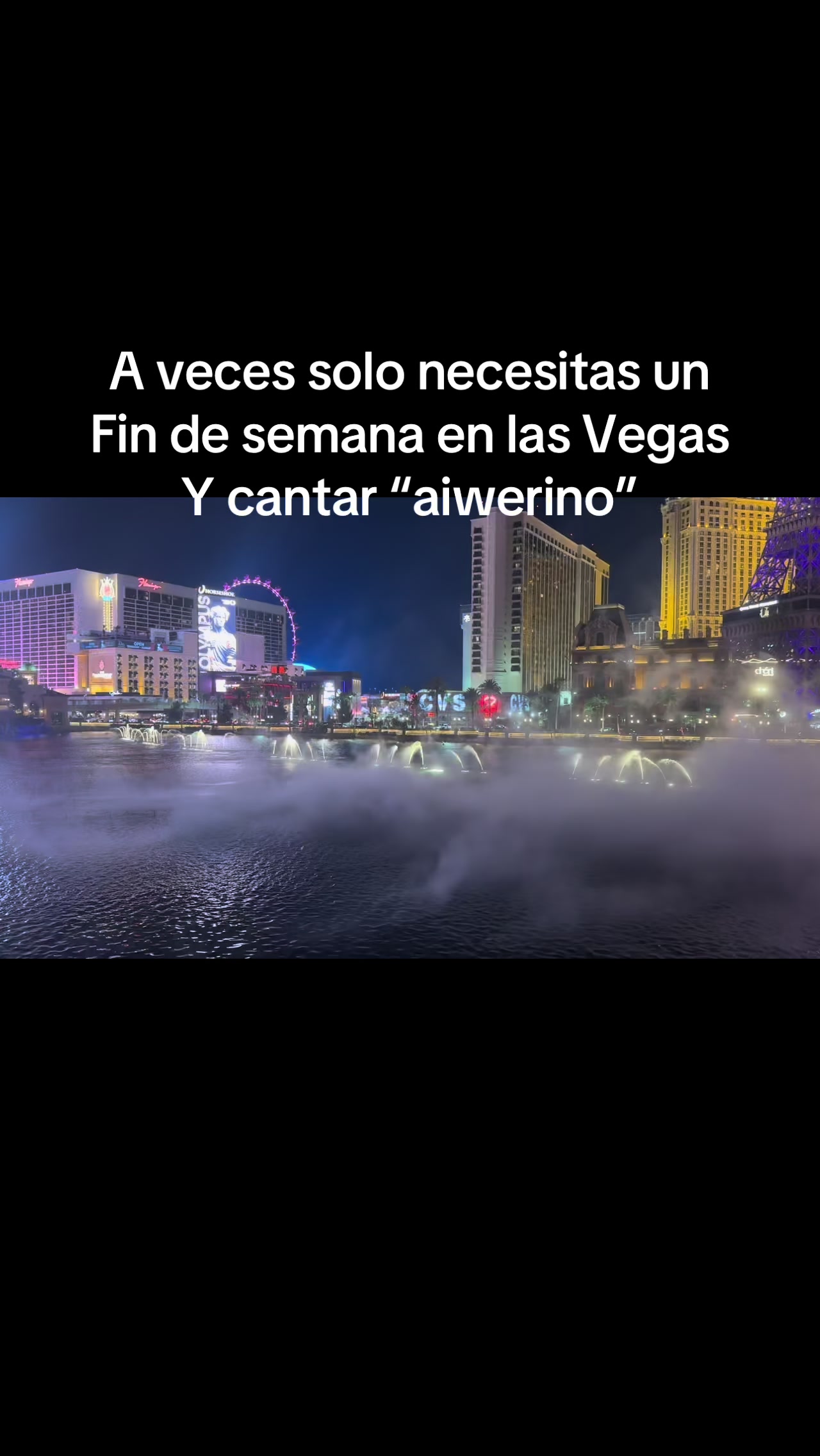 @Gaviota Alva