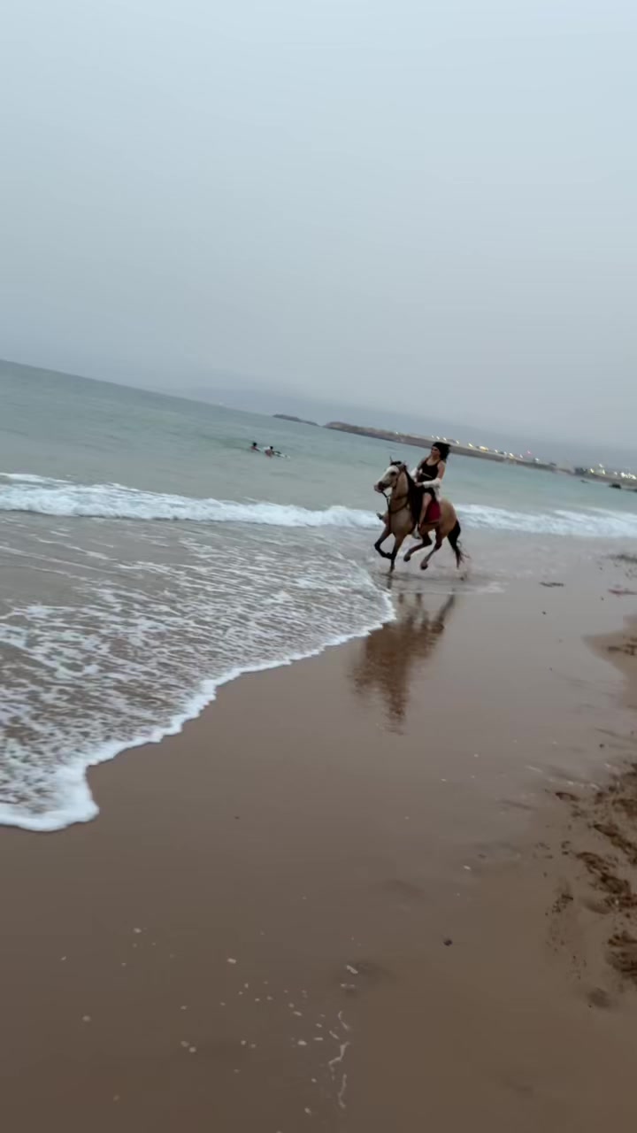 @Cheval_agadir