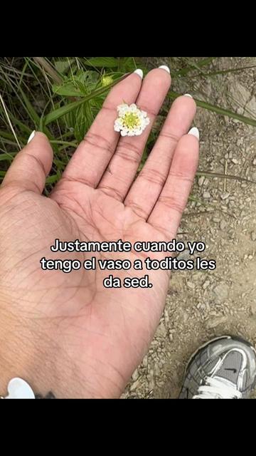 @Ⓜ︎