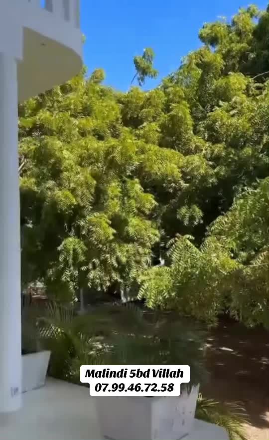 @Tembea Kilifi🇰🇪