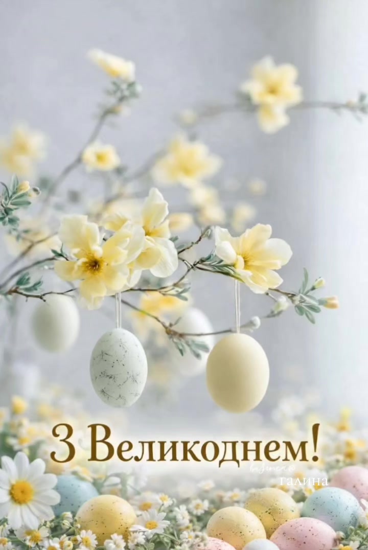 @✨️Галина ✨️🌸