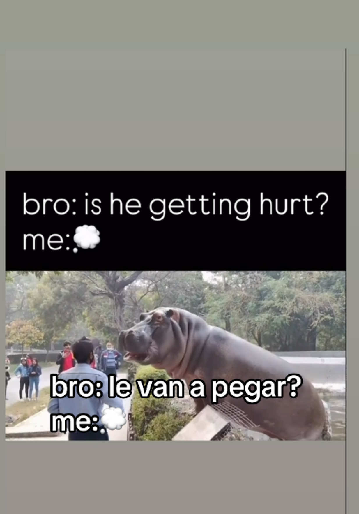 @vl0gsca