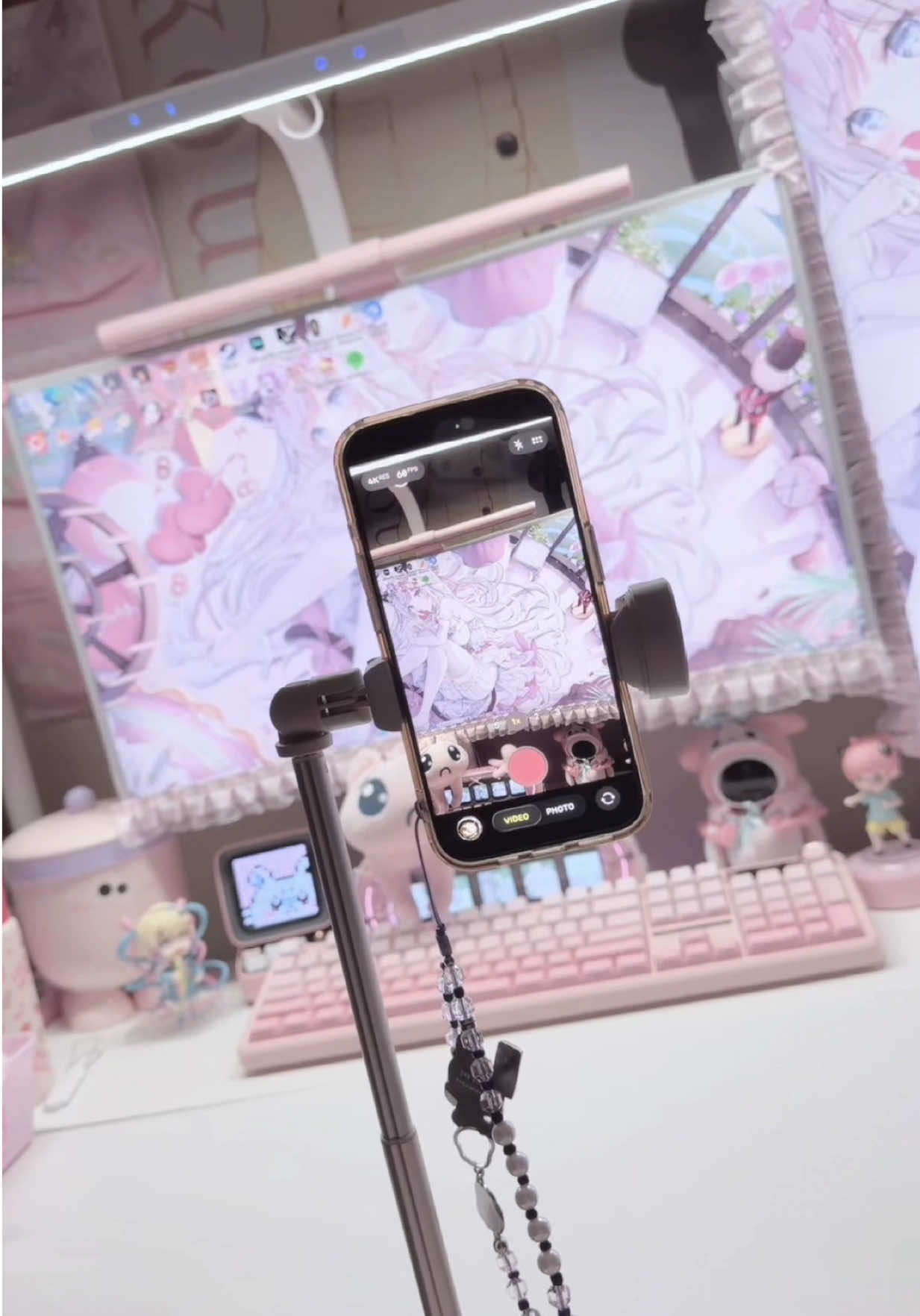 @/ᐠ ˵> ⩊ <˵マ