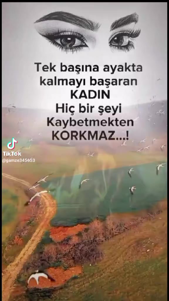 @leyla