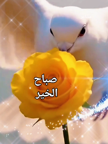 @مشاعر