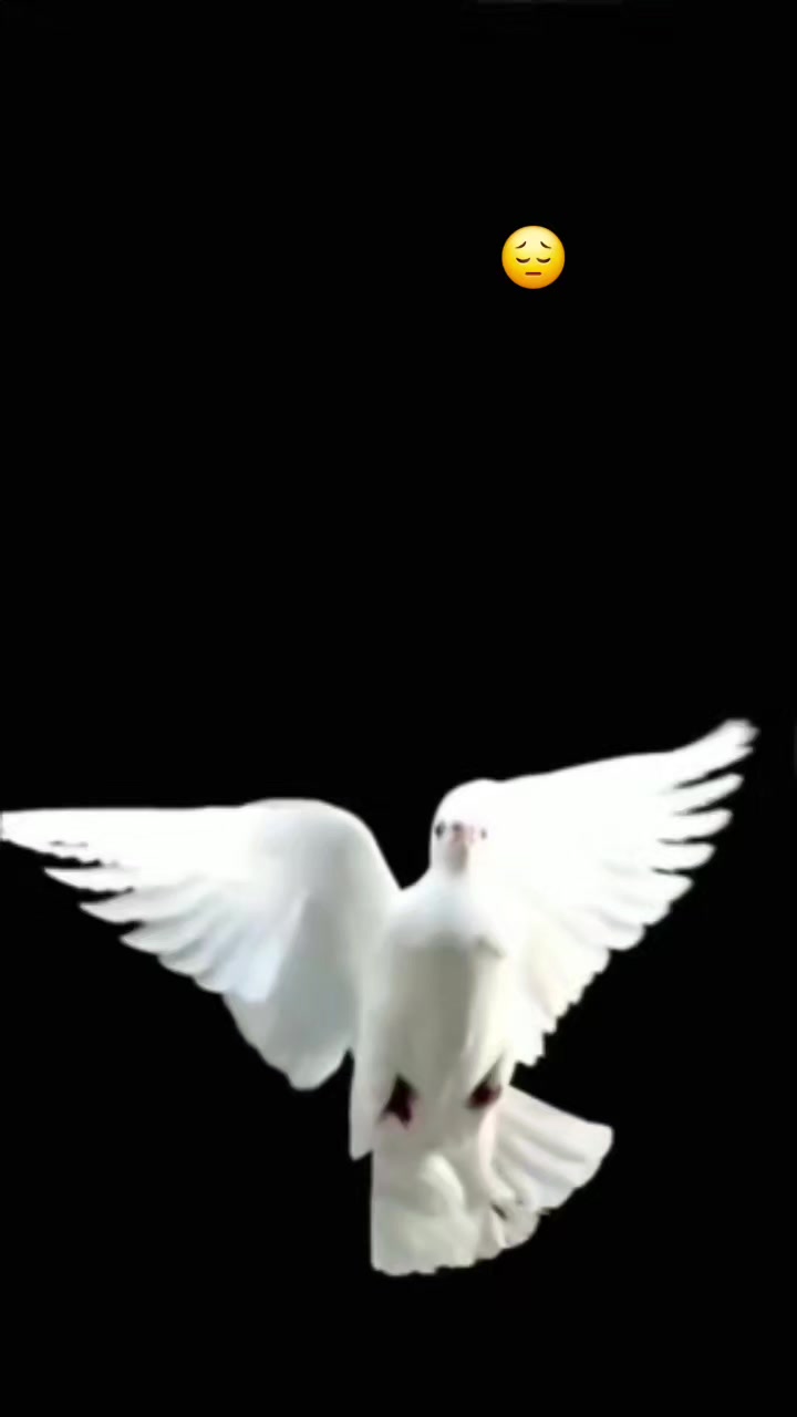 @✈️❤️ ⁵⁵ Efsun ⁵⁹🇹🇷
