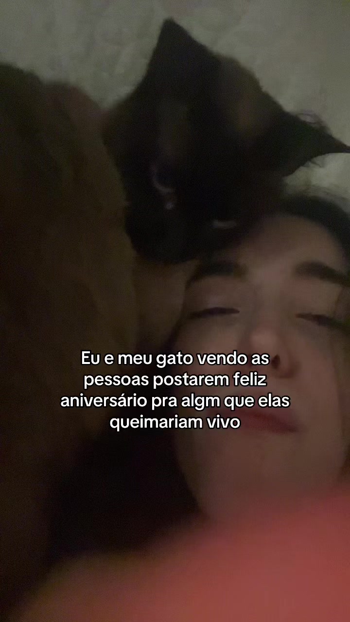 @koala642