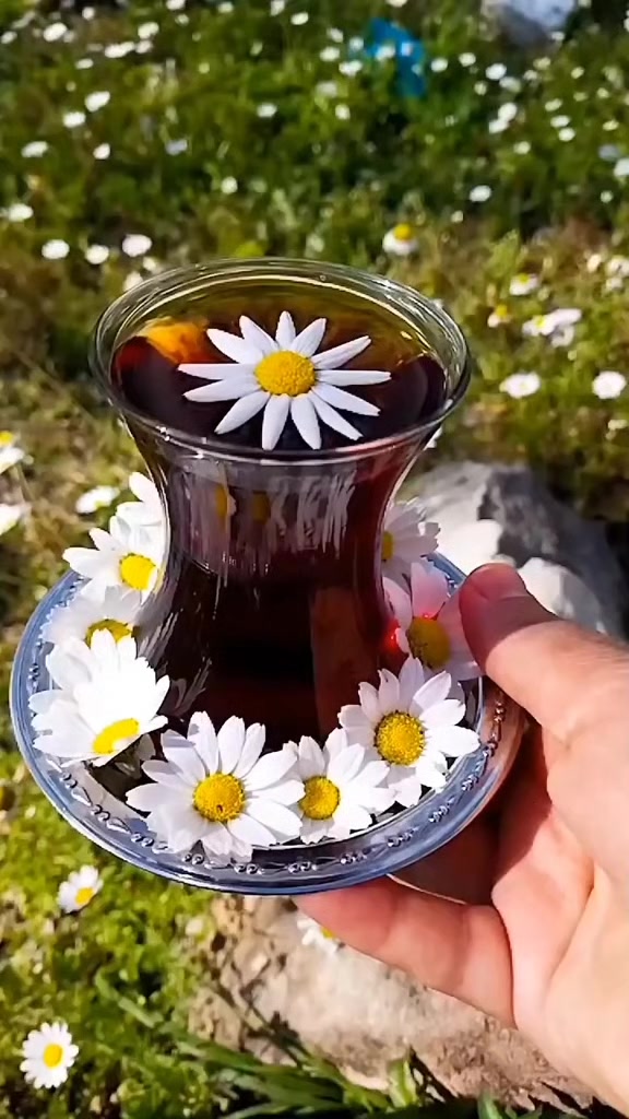 @🤘🇹🇷 EYUPCAN🤘Adanalı🤘🇹🇷