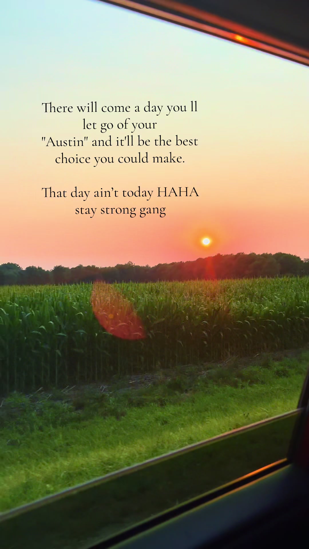@montanabamaduck