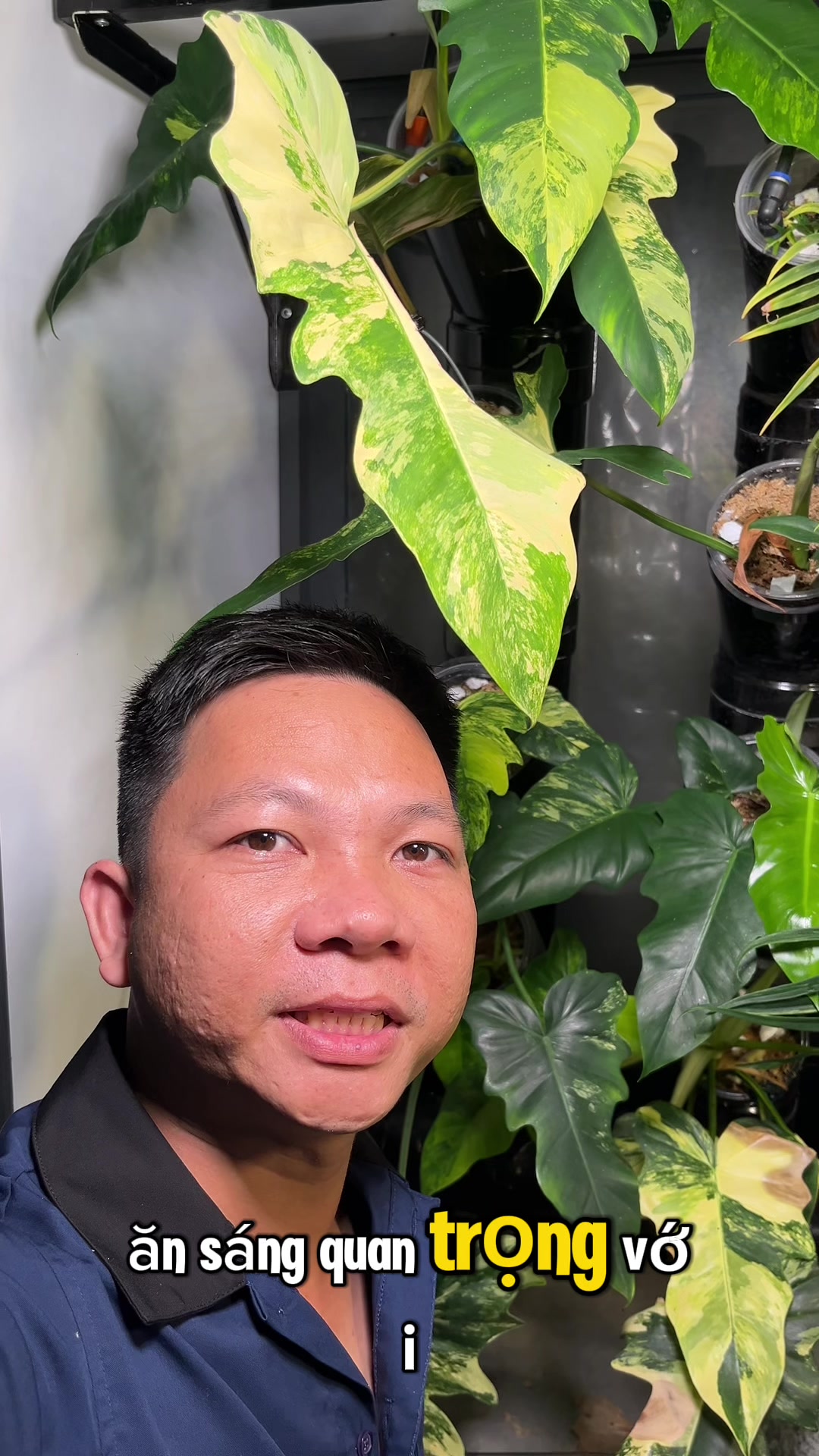 @Huy Kiểng Lá