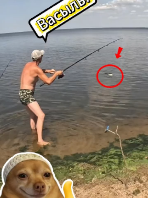 @Decalex1974