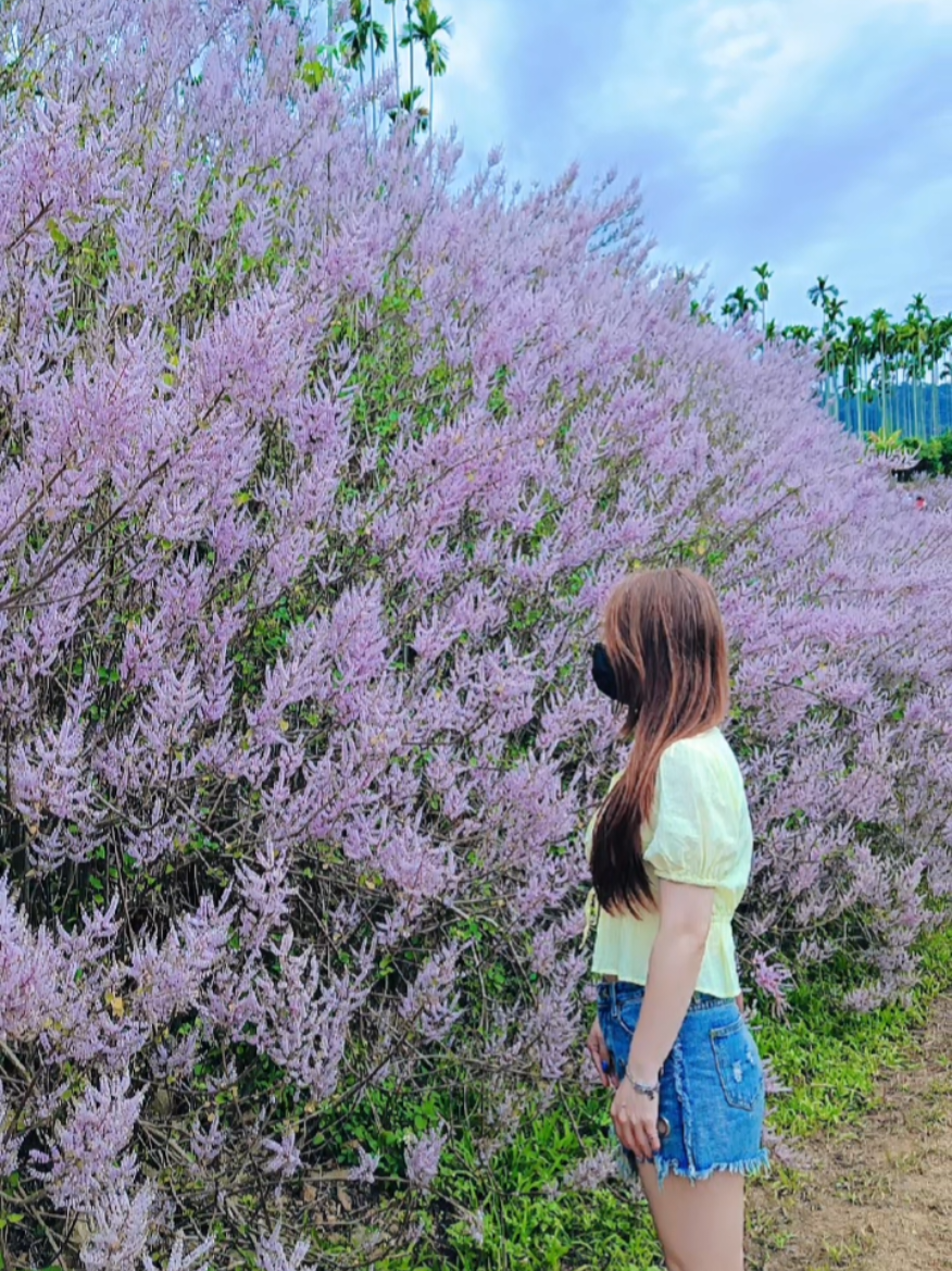@Hui🍀
