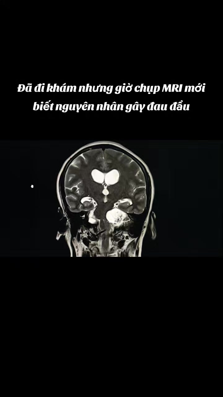 @Nguyễn Văn Tùng