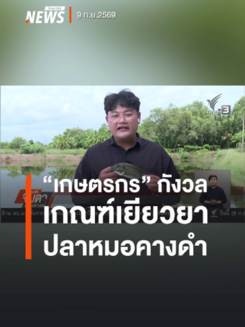 @Thai PBS news