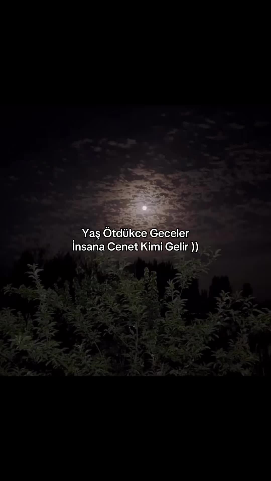 @Userr