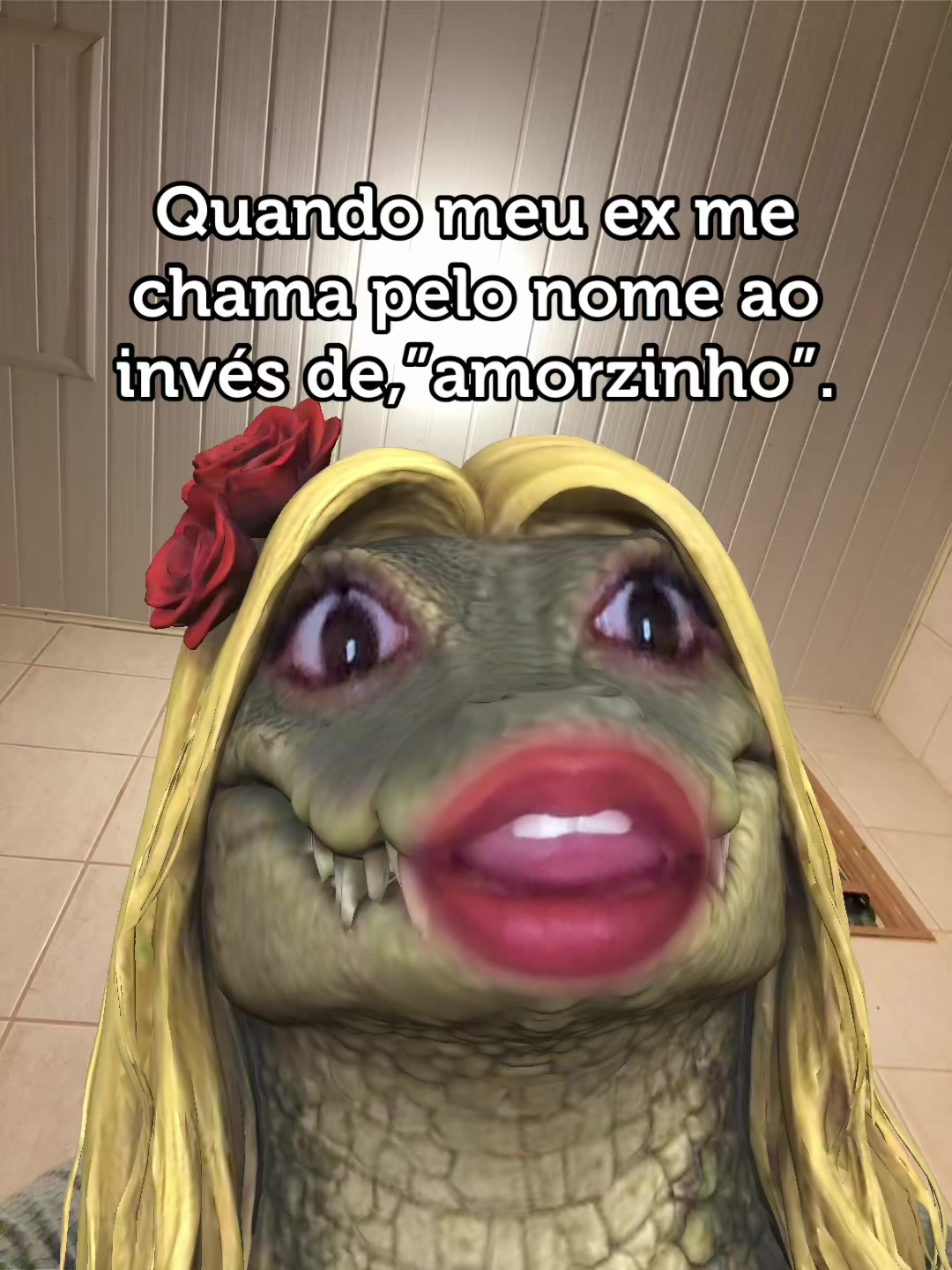 @cuca_da_mata