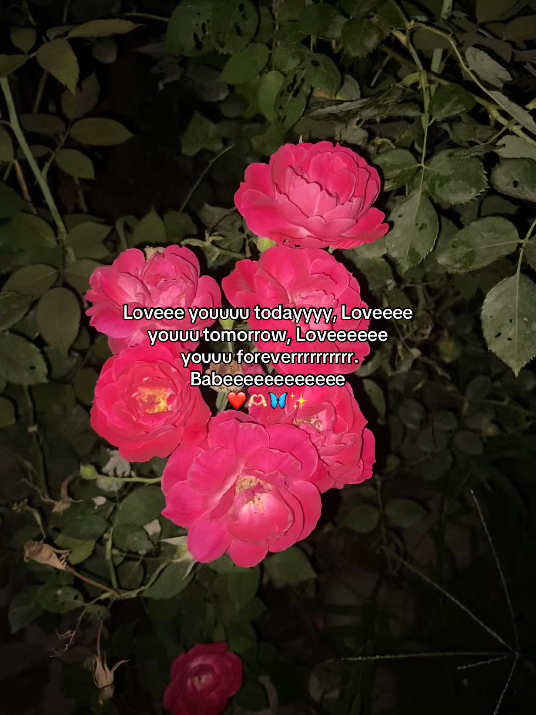 @RAMUUUUU🍃