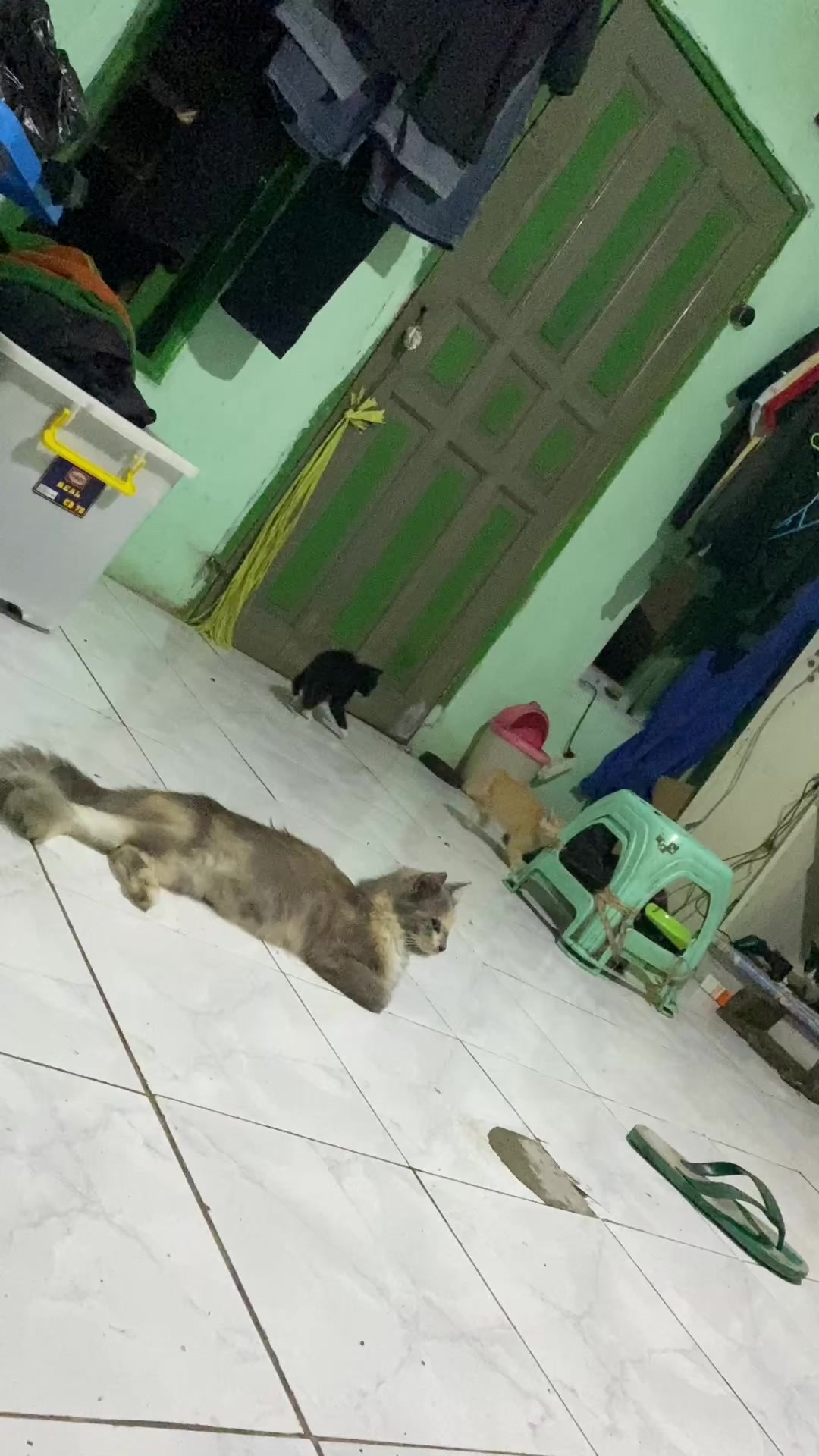 @𝙄𝙋𝙉 𝘼𝙇𝙋𝙉𝘿
