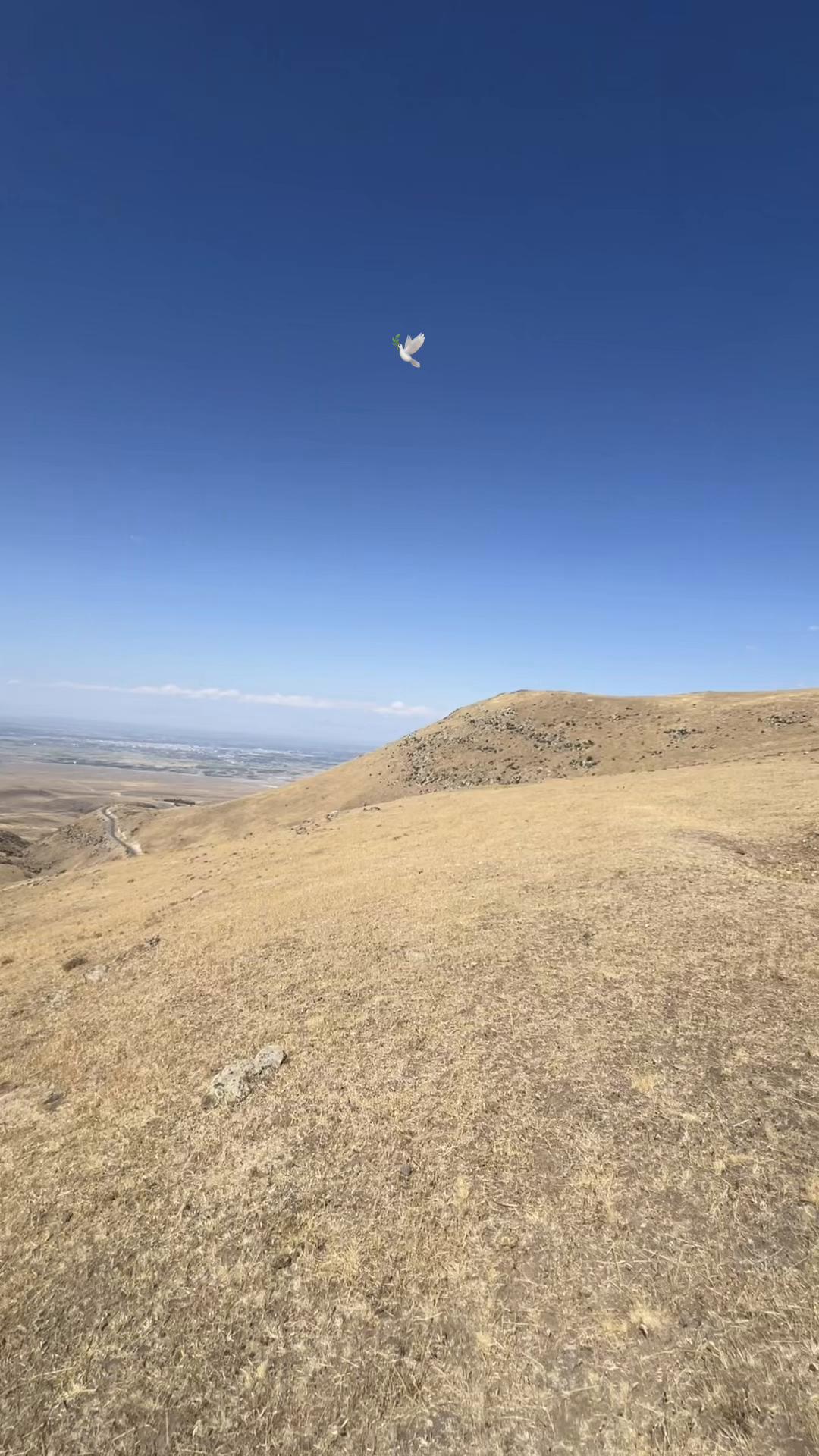 @• ꜱᴛᴏʀʏʏ ⁷⁶🕊️