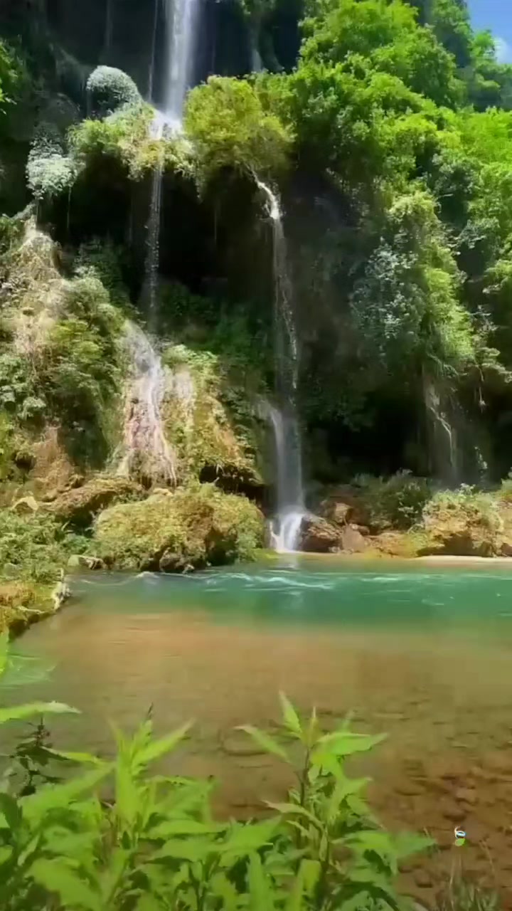 @⚜️karaleva⚜️şelale🦞