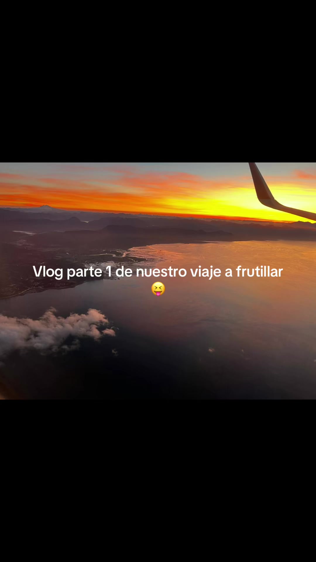 @lafeermiauu
