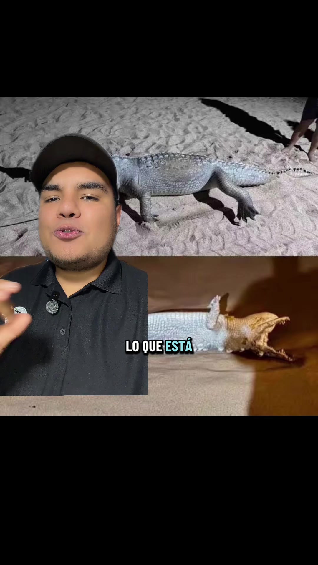 @Jair Herrera 🐆