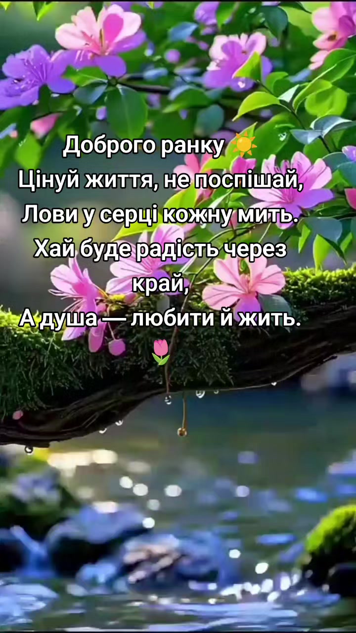 @🌹 𝐋𝐚𝐫𝐢𝐬𝐚 🌹