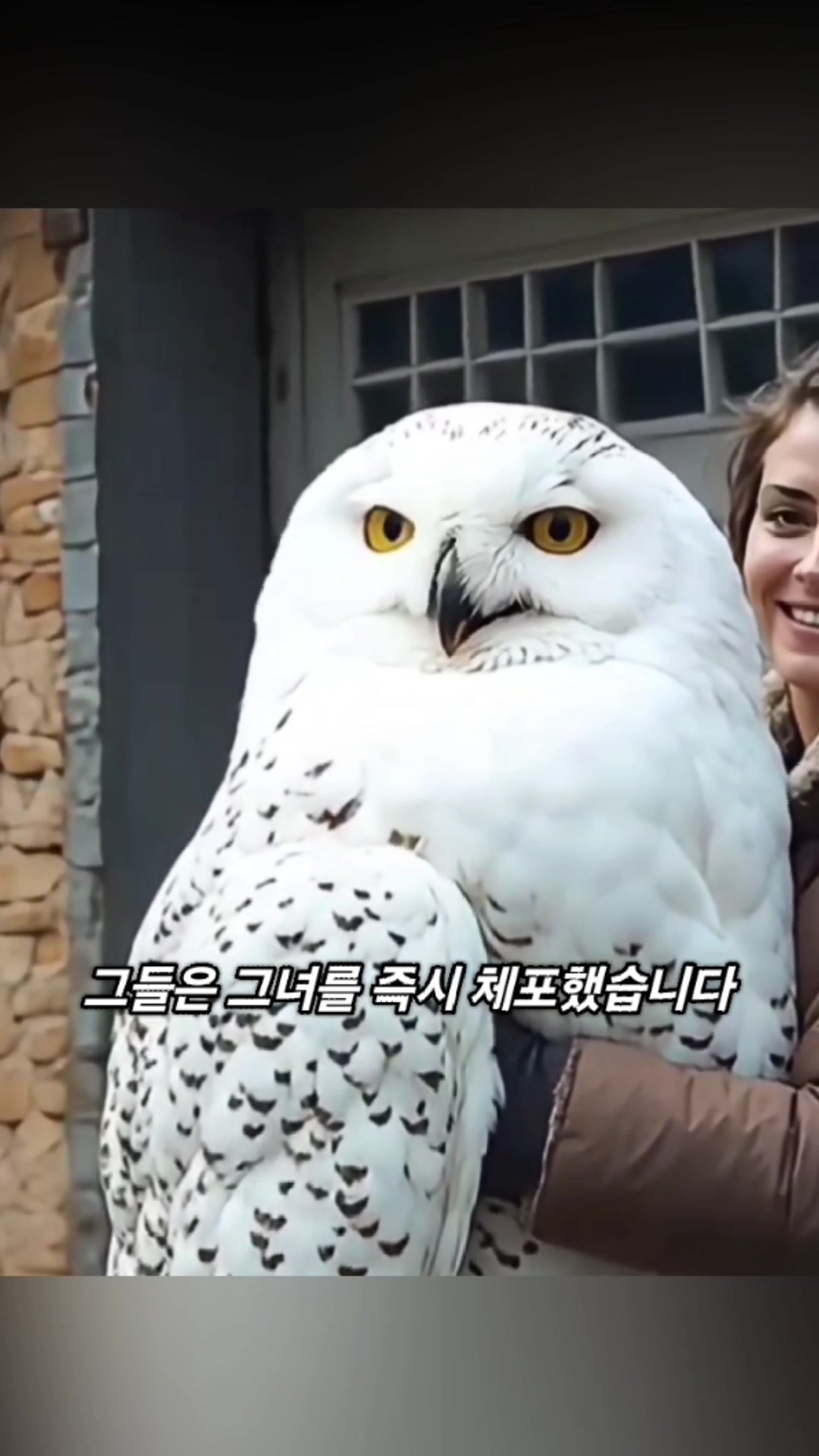 @리멍팔