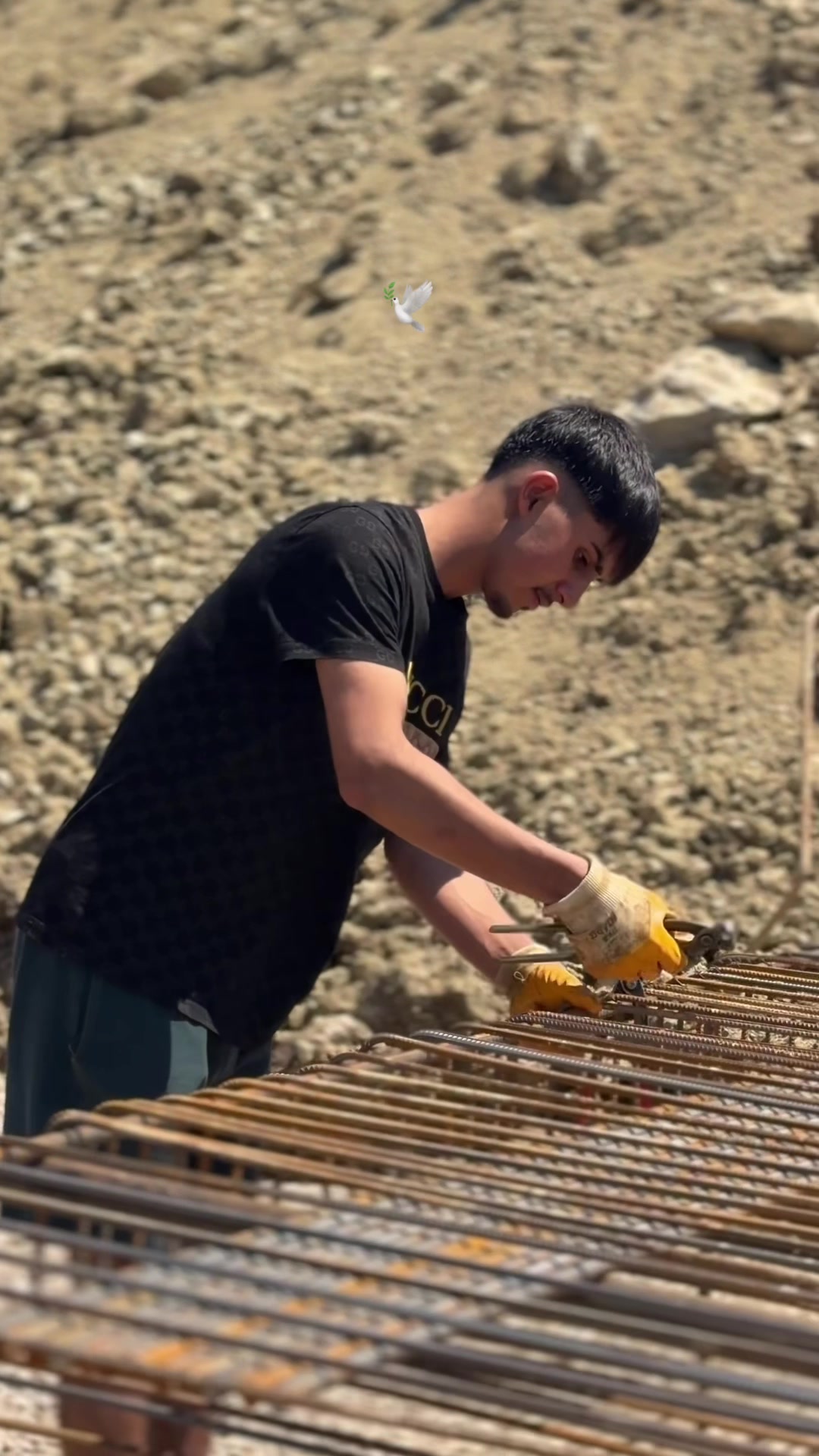 @Sıfır4