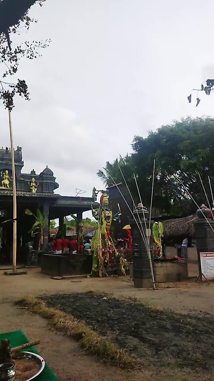@Y.S.T . நான் ஒரு முட்டாள் பெண்