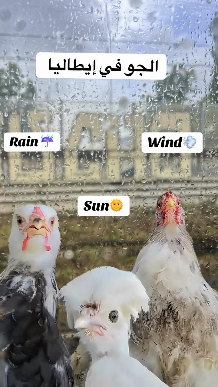 @Medrona selim مدرونا سليم