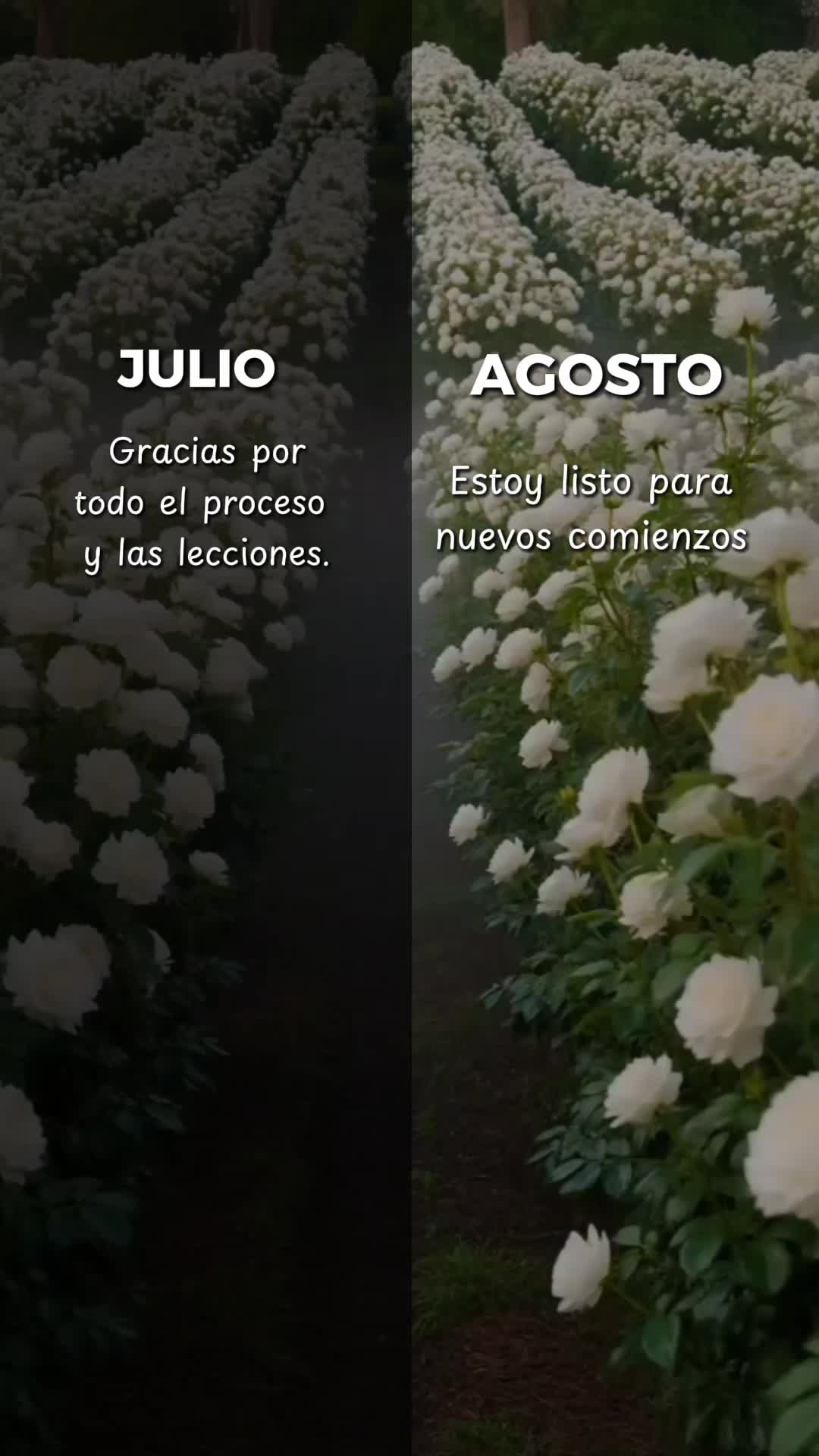 @Zury Lucas