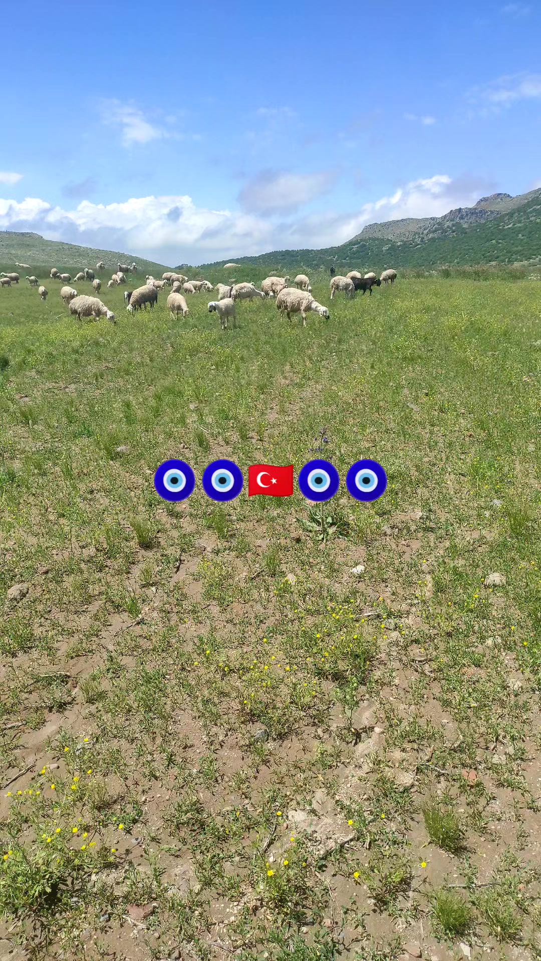 @Emre &Ouml;zt&uuml;rk 51
