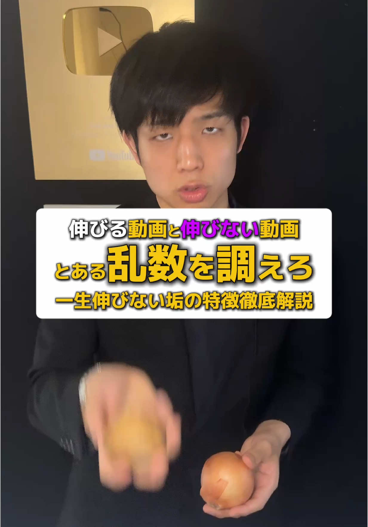 @金盾ニキ【TikTok攻略】