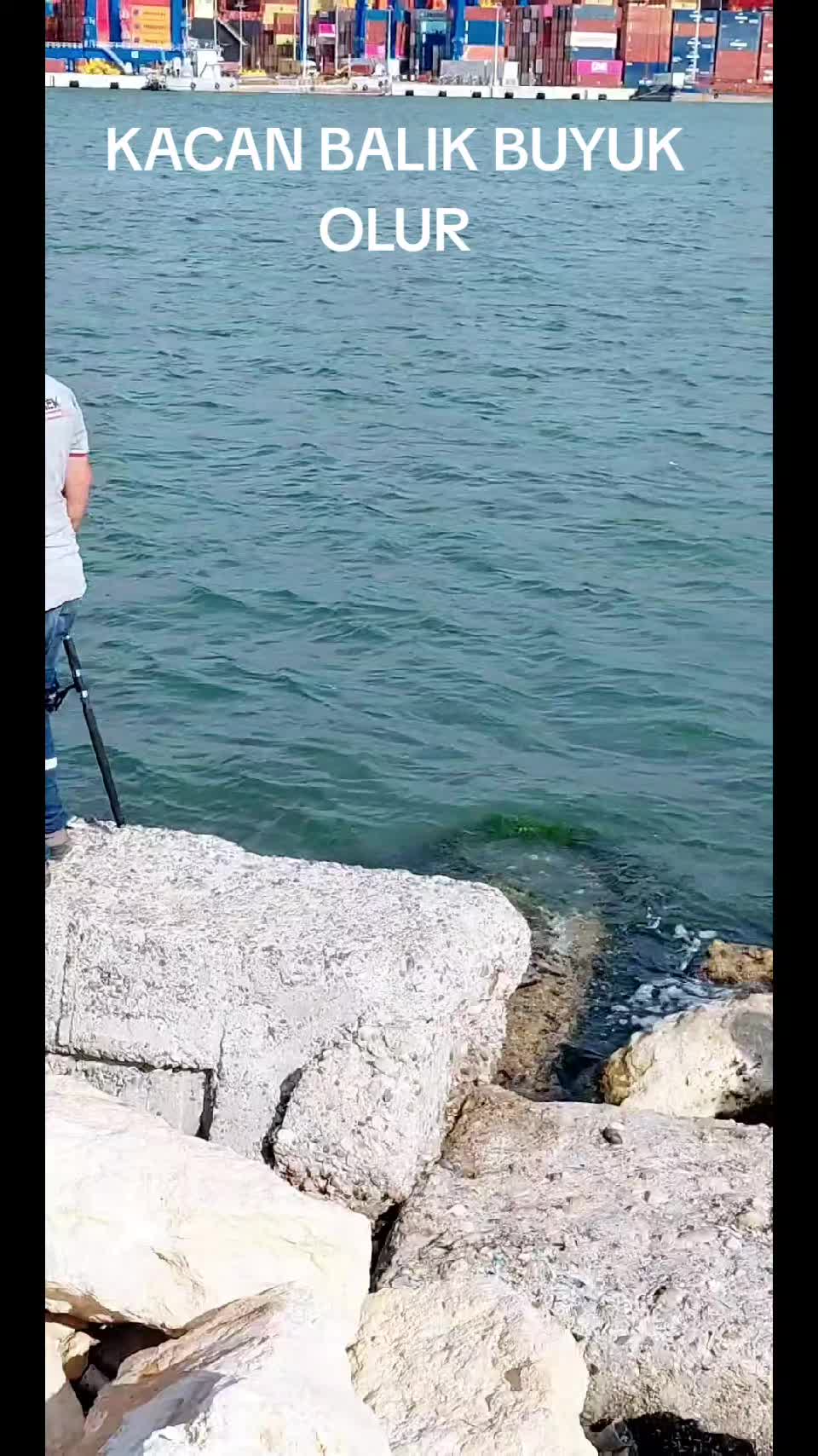 @mersinli.0233