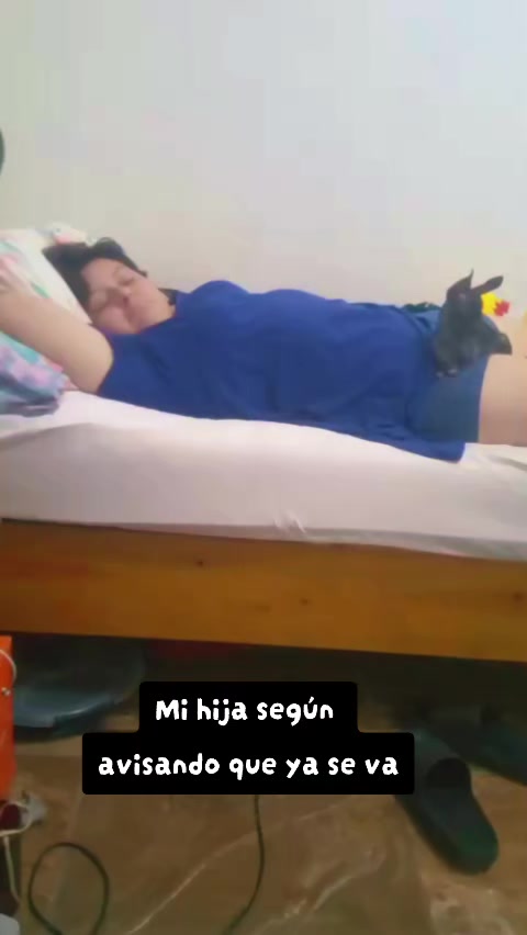@La Mula Escobedo