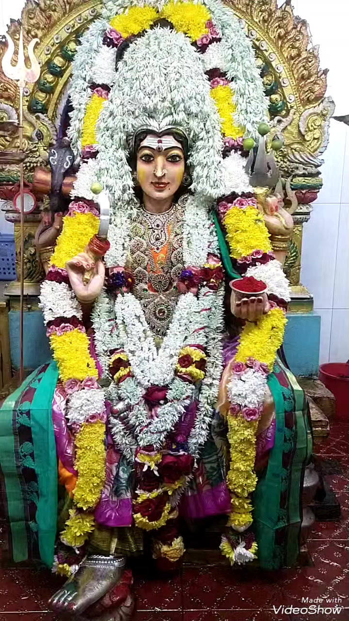 @🇲🇲🇳🇪PS SuRiya(Official)🗯️