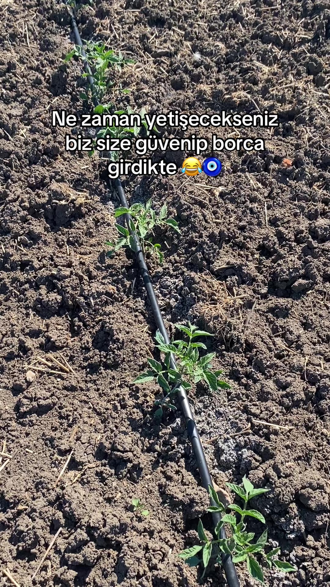 @gozde