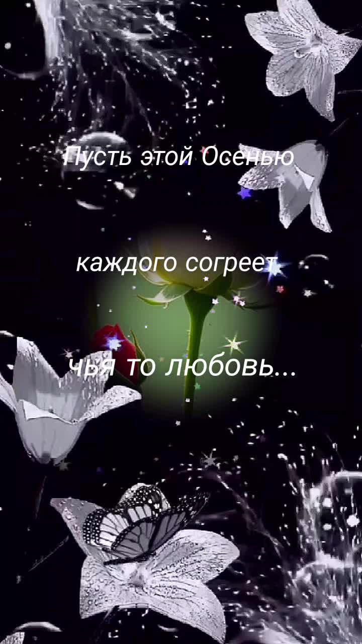 @Елена Паша