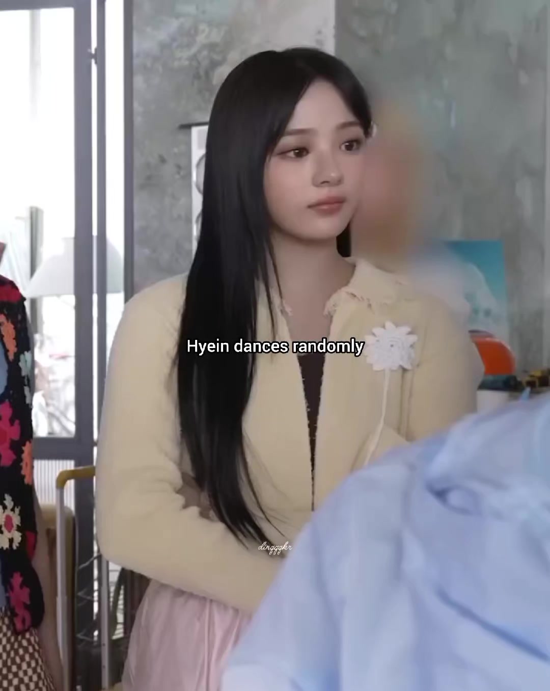 @dinqqqkr