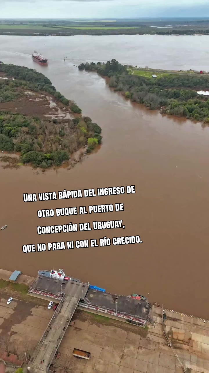 @luchoalvareztiktoker