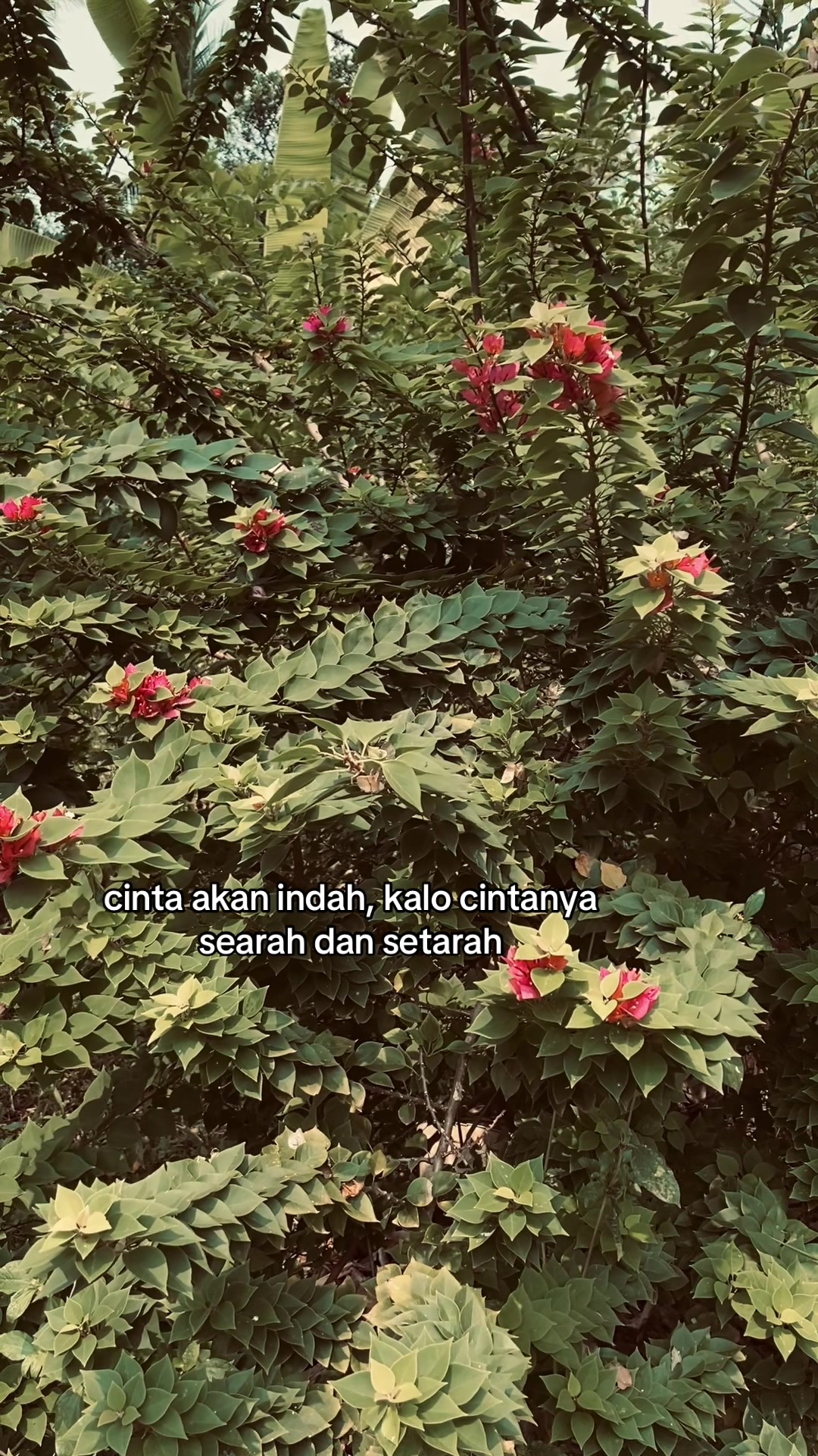 @Ryzz💫