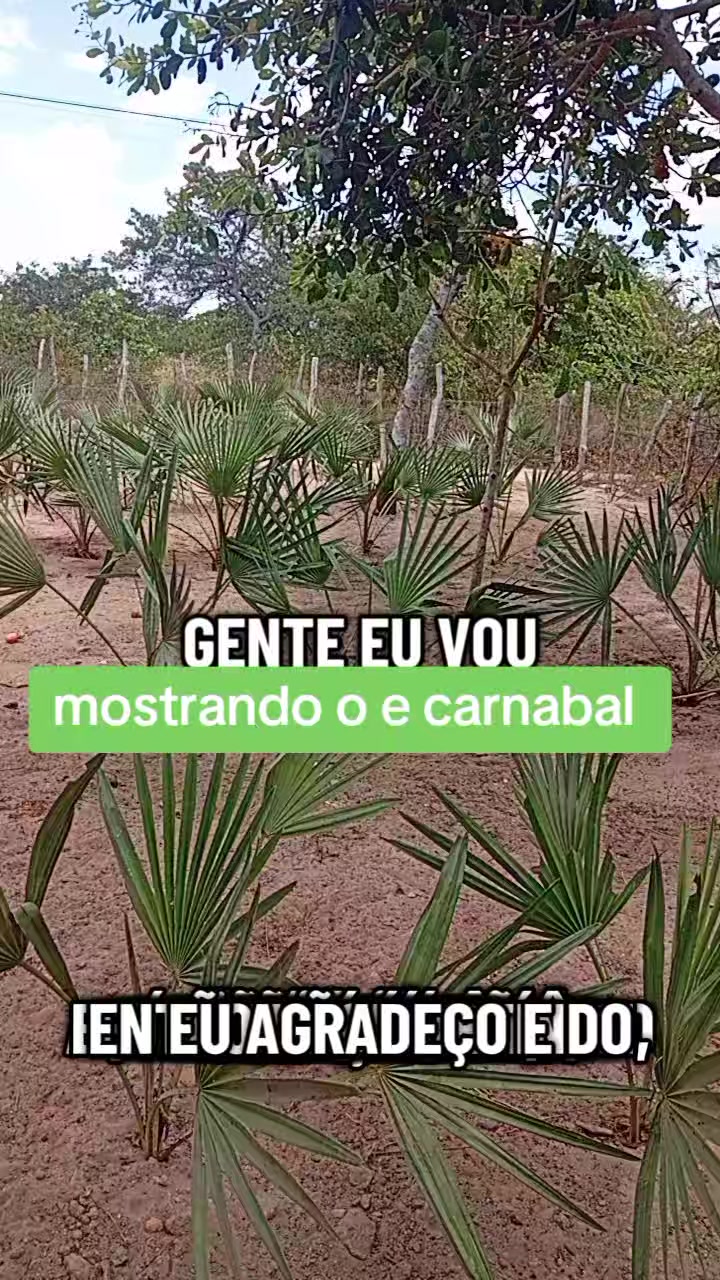 @⚡Sandra Santos OFICIAL ☑️