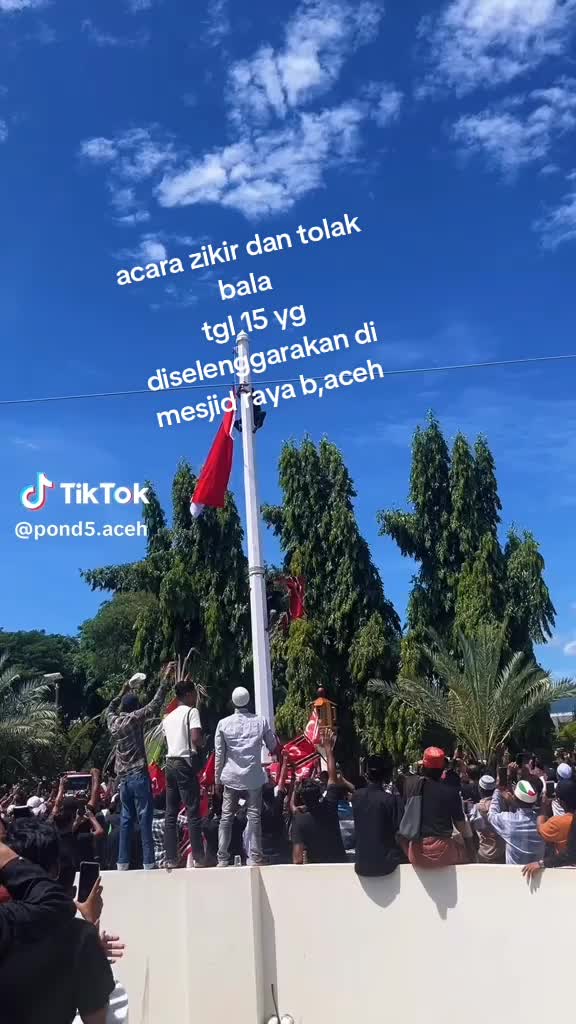 @bongkar donya