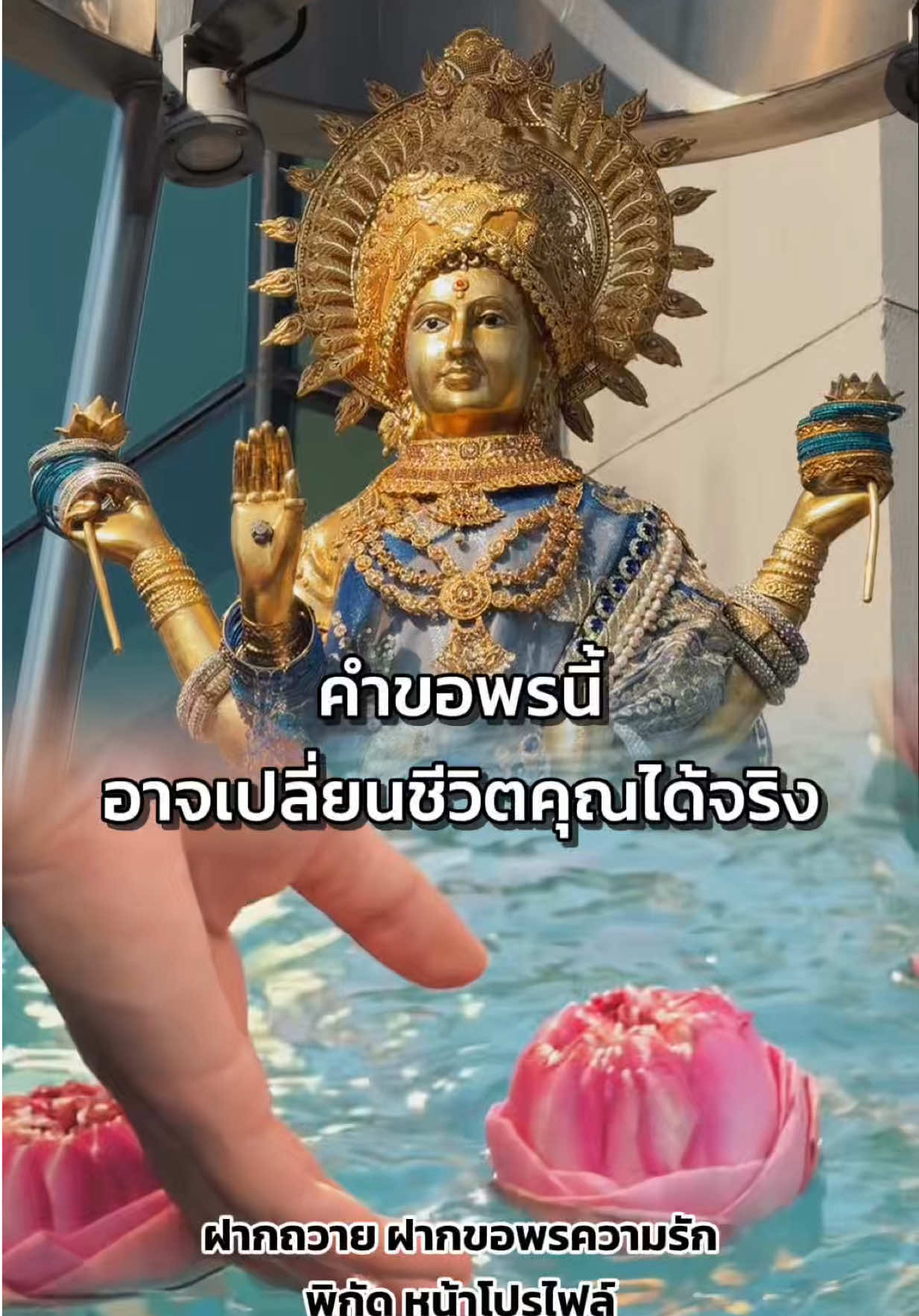 @มามู ออนไลน์ - ฝากไหว้ขอพร