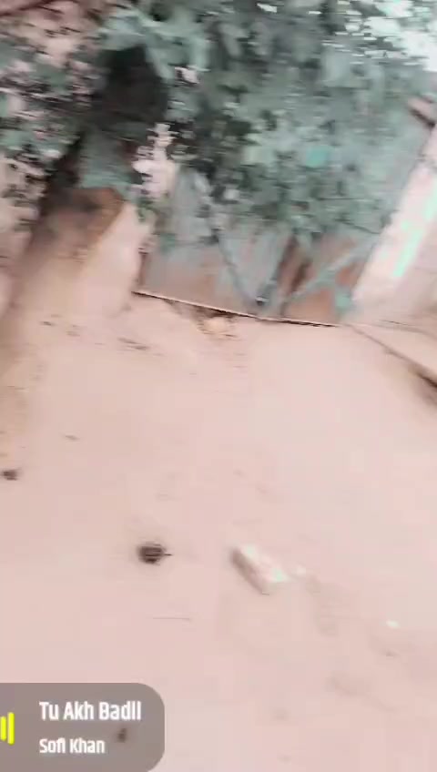 @Abiha imam